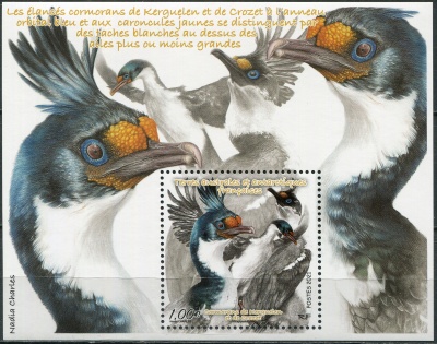 ФЮАТ. 2021. Кергеленская махорка (Leucocarbo verrucosus)  (Почтовый блок. MNH OG)