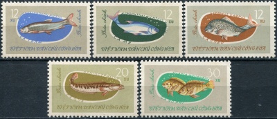 Вьетнам. 1963. Пресноводная рыба (Серия. MNH OG)
