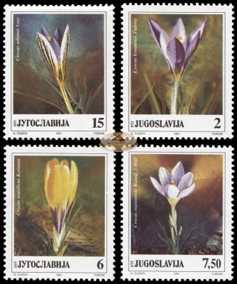 Югославия. 1991. Крокусы (Серия. MNH OG)