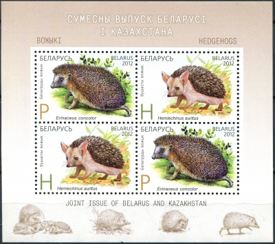 Беларусь. 2012. Ежи (Почтовый блок. MNH OG)