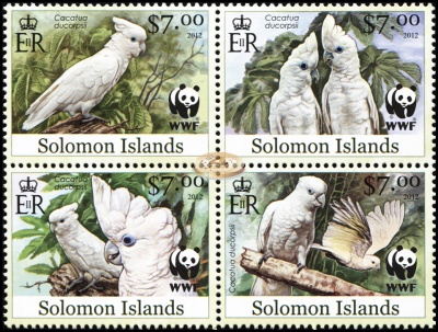 Соломоновы острова. 2013. Соломонский какаду [Cacatua ducorpsii] (Квартблок. MNH OG)