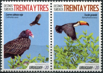 Уругвай. 2018. Гриф-индейка (Cathartes aura) (Сцепка. MNH OG)