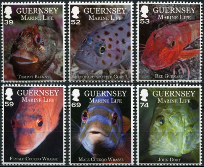 Гернси. 2013. Жизнь моря. Рыбы (Серия. MNH OG)