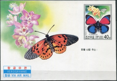 КНДР. 2002. Бабочки (Аэрограмма. Mint)