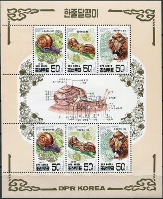 КНДР. 1997. Азиатская кустарниковая улитка (Fruticicola lubuana) (Малый лист. MNH OG)