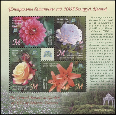 Беларусь. 2014. Цветы (Малый лист. MNH OG)