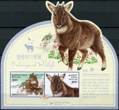 Южная Корея. 2017. Восточный горал (Блок. MNH OG)