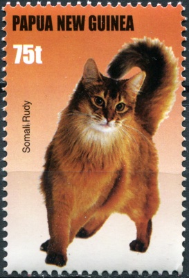 Папуа Новая Гвинея. 2005. Сомалийская кошка (Почтовая марка. MNH OG)