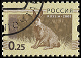 Россия. 2008. Заяц на зеленовато-коричневом фоне (Почтовая марка. CTO Гашеная)