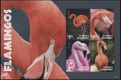 Сент-Винсент и Гренадины. 2015. Фламинго (Малый лист. MNH OG)