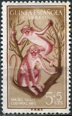 Испанская Гвинея. 1955. Рыжеухая мартышка (Cercopithecus erythrotis) (Почтовая марка. MNG)