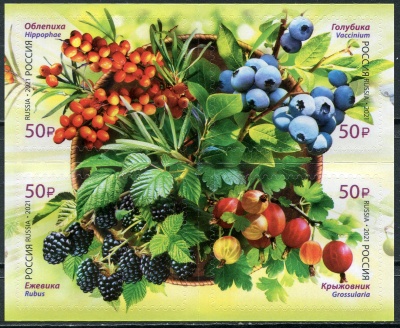 Россия. 2021. Флора России. Ягоды (Квартблок. MNH OG)