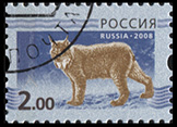 Россия. 2008. Рысь на синем фоне (Почтовая марка. CTO Гашеная)