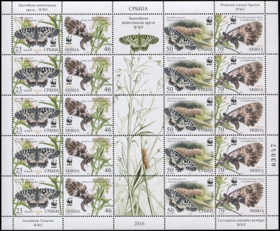 Сербия. 2016. Бабочка Зеринтия Поликсена (М.Лист. MNH OG)