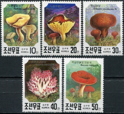 КНДР. 1991. Грибы (Серия Почтовых марок. MNH OG)