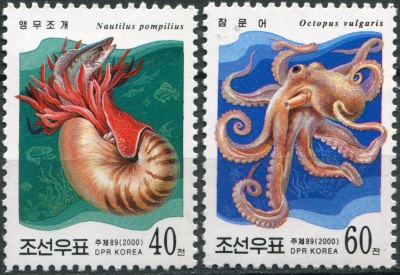 КНДР. 2000. Головоногие (Серия Почтовых марок. MNH OG)