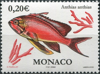 Монако. 2002. Средиземноморский антиас (Anthias anthias) (Почтовая марка. MNH OG)