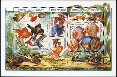 Чехия. 2003. Аквариумные рыбки (Блок. MNH OG)