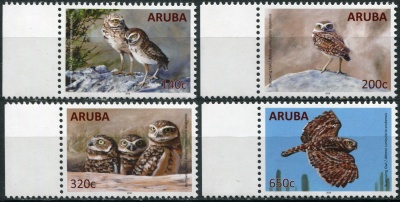 Аруба. 2016. Кроликовая сова (Athene cunicularia arubensis) (Серия. MNH OG)