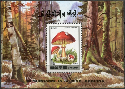 КНДР. 1995. Цезарский гриб (Amanita caesarea) (Почтовый блок. MNH OG)