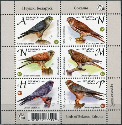 Беларусь. 2021. Соколы (Малый лист. MNH OG)