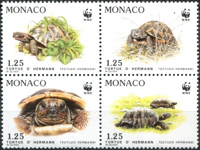 Монако. 1991. Балканская черепаха (Testudo hermanni) (Квартблок. MNH OG)