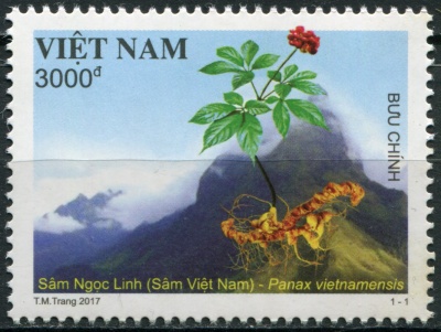 Вьетнам. 2017. Вьетнамский женьшень (Почтовая марка. MNH OG)