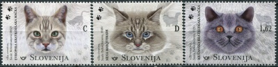 Словения. 2020. Породы кошек (Серия Почтовых марок. MNH OG)