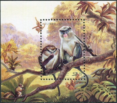 КНДР. 2000. Мартышка мона (Cercopithecus mona) (Блок. MNH OG)