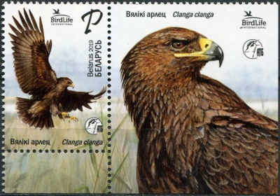 Беларусь. 2019. Большой подорлик (Clanga clanga) (Сцепка. MNH OG)