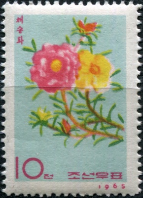 КНДР. 1965. Магнолия (Почтовая марка. MNH OG)