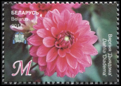 Беларусь. 2014. Георгина "Диадема" (Почтовая марка. MNH OG)