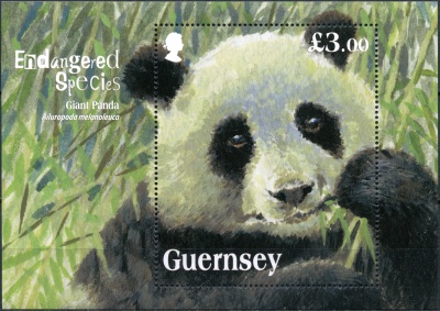 Гернси. 2013. Гигантская панда (Блок. MNH OG)