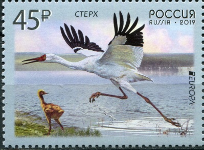 Россия. 2019. Птицы. Стерх (Почтовая марка. MNH OG)