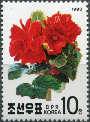 КНДР. 1993. 51-й день рождения Ким Чен Ира. Кимджонгилия (бегония) (Почтовая марка. MNH OG)