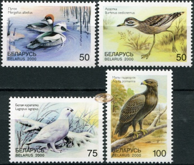 Беларусь. 2000. Красная Книга Беларуси. Птицы (Серия. MNH OG)
