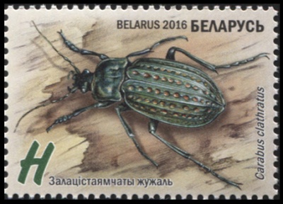Беларусь. 2016. Золотистоямчатая жужелица (Почтовая марка. MNH OG)