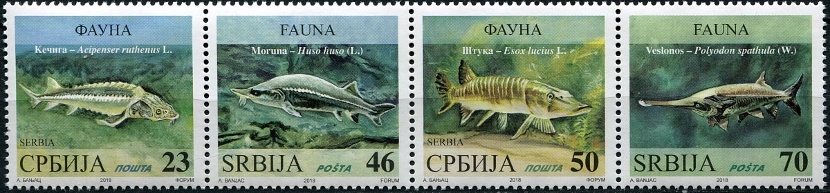 Сербия. 2018. Пресноводные рыбы (Сцепка. MNH OG)