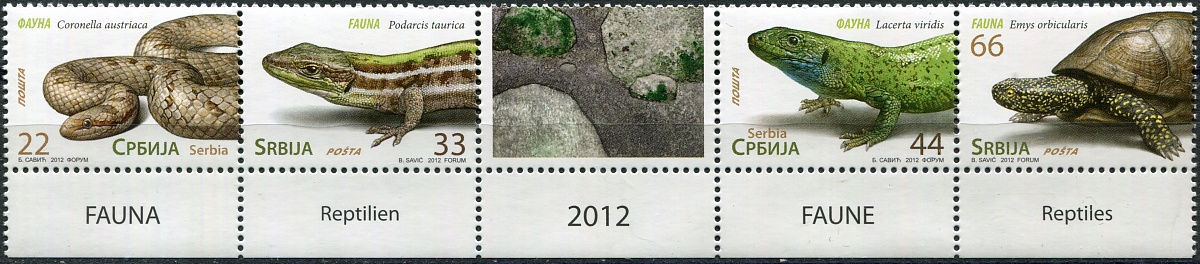 Сербия. 2012. Рептилии (V) (Сцепка. MNH OG)